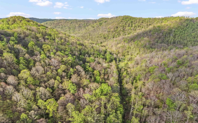 0 Flat Run Road, Ireland, West Virginia 26376, ,Lots/land,For Sale,Flat Run,10164475