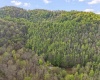 0 Flat Run Road, Ireland, West Virginia 26376, ,Lots/land,For Sale,Flat Run,10164475