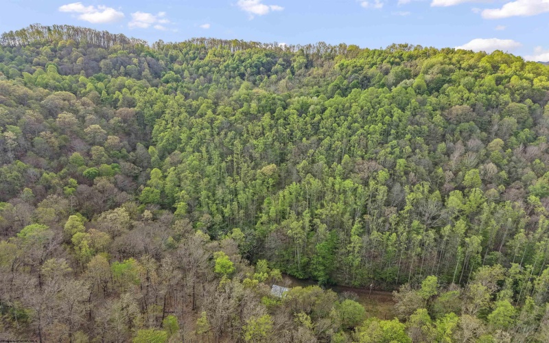 0 Flat Run Road, Ireland, West Virginia 26376, ,Lots/land,For Sale,Flat Run,10164475