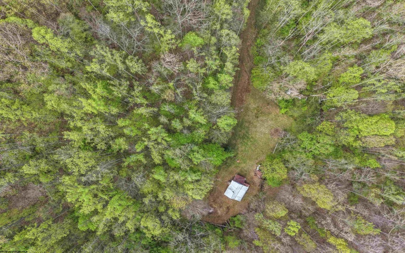 0 Flat Run Road, Ireland, West Virginia 26376, ,Lots/land,For Sale,Flat Run,10164475