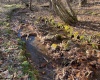 0 Flat Run Road, Ireland, West Virginia 26376, ,Lots/land,For Sale,Flat Run,10164475