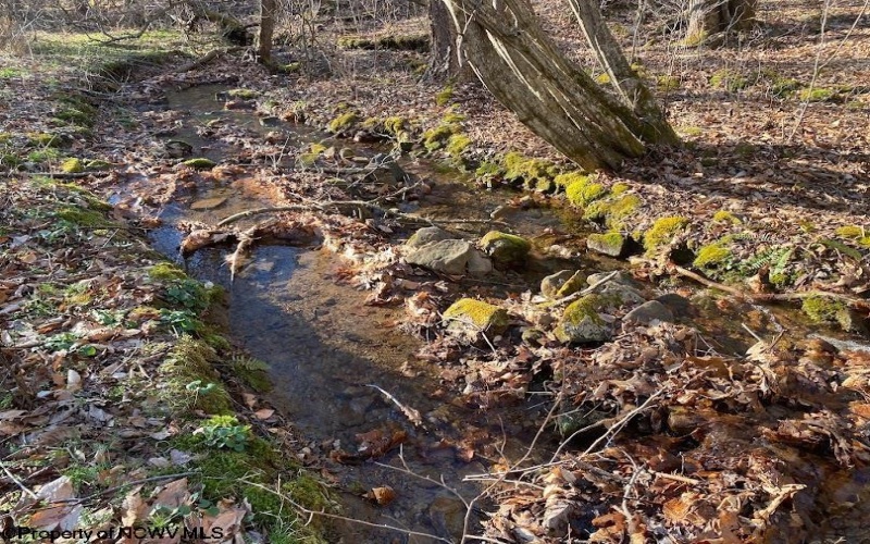 0 Flat Run Road, Ireland, West Virginia 26376, ,Lots/land,For Sale,Flat Run,10164475