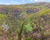 0 Flat Run Road, Ireland, West Virginia 26376, ,Lots/land,For Sale,Flat Run,10164475