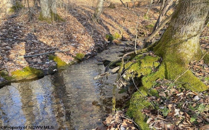 0 Flat Run Road, Ireland, West Virginia 26376, ,Lots/land,For Sale,Flat Run,10164475