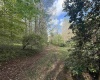 0 Flat Run Road, Ireland, West Virginia 26376, ,Lots/land,For Sale,Flat Run,10164475