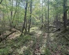 0 Flat Run Road, Ireland, West Virginia 26376, ,Lots/land,For Sale,Flat Run,10164475