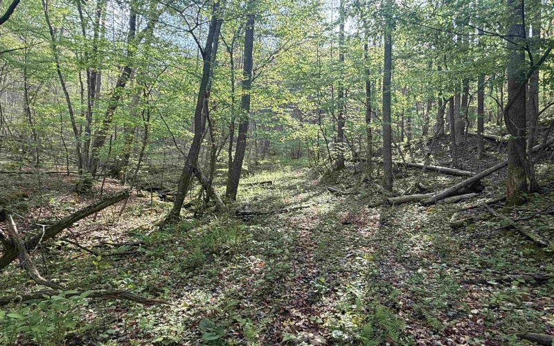 0 Flat Run Road, Ireland, West Virginia 26376, ,Lots/land,For Sale,Flat Run,10164475