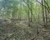 0 Flat Run Road, Ireland, West Virginia 26376, ,Lots/land,For Sale,Flat Run,10164475