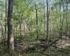 0 Flat Run Road, Ireland, West Virginia 26376, ,Lots/land,For Sale,Flat Run,10164475