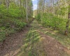 0 Flat Run Road, Ireland, West Virginia 26376, ,Lots/land,For Sale,Flat Run,10164475