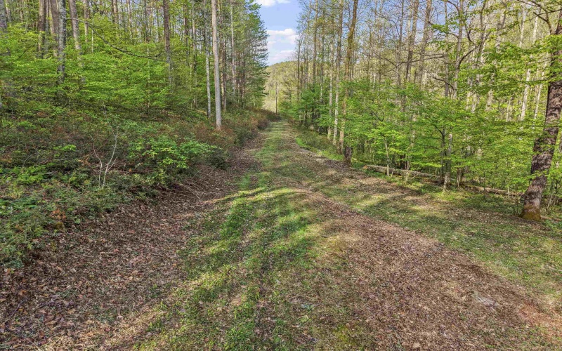 0 Flat Run Road, Ireland, West Virginia 26376, ,Lots/land,For Sale,Flat Run,10164475