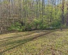0 Flat Run Road, Ireland, West Virginia 26376, ,Lots/land,For Sale,Flat Run,10164475
