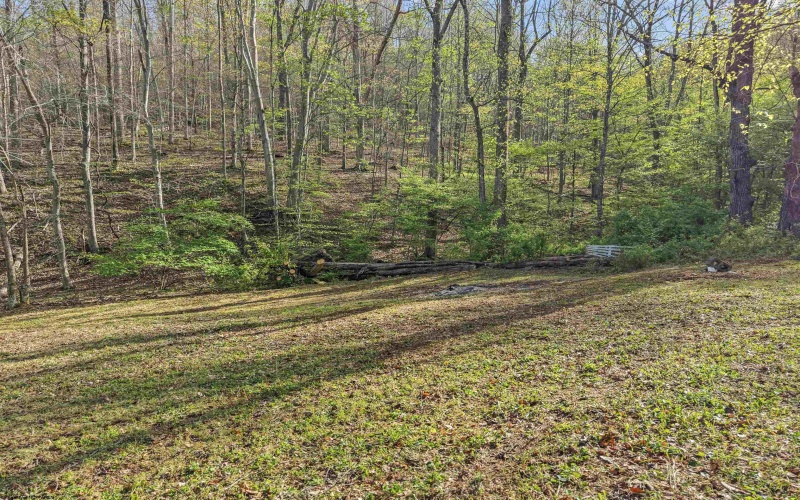 0 Flat Run Road, Ireland, West Virginia 26376, ,Lots/land,For Sale,Flat Run,10164475