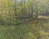 0 Flat Run Road, Ireland, West Virginia 26376, ,Lots/land,For Sale,Flat Run,10164475