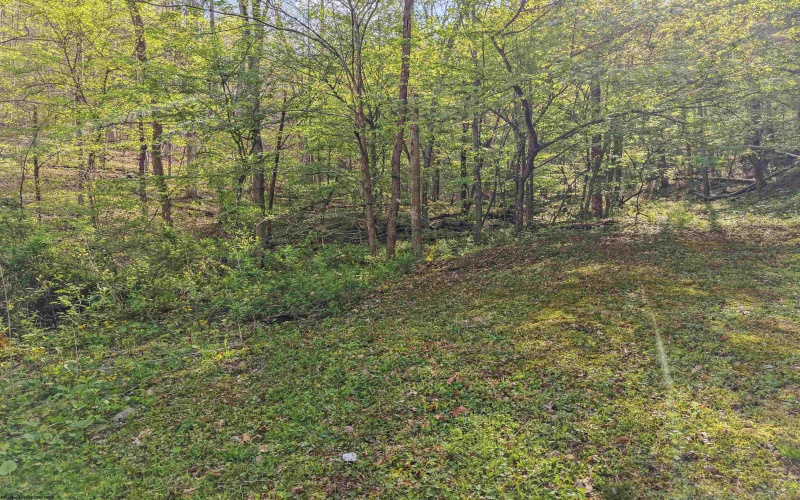 0 Flat Run Road, Ireland, West Virginia 26376, ,Lots/land,For Sale,Flat Run,10164475