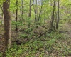 0 Flat Run Road, Ireland, West Virginia 26376, ,Lots/land,For Sale,Flat Run,10164475