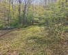 0 Flat Run Road, Ireland, West Virginia 26376, ,Lots/land,For Sale,Flat Run,10164475