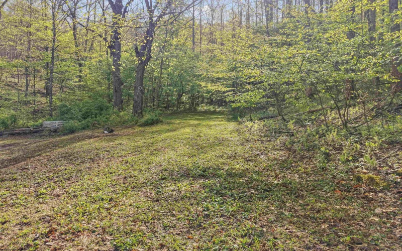 0 Flat Run Road, Ireland, West Virginia 26376, ,Lots/land,For Sale,Flat Run,10164475
