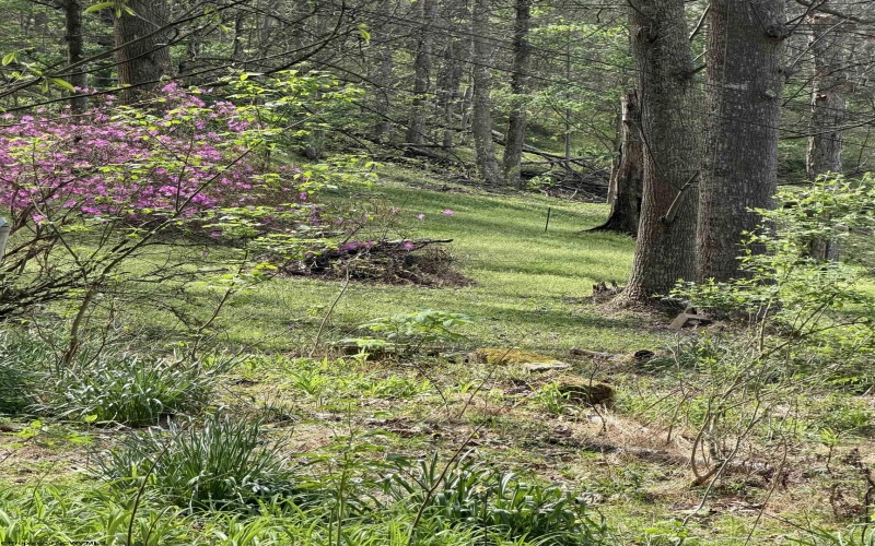 94, 95, 96 Crystal Lake, West Union, West Virginia 26456, ,Lots/land,For Sale,Crystal,10164478