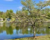 94, 95, 96 Crystal Lake, West Union, West Virginia 26456, ,Lots/land,For Sale,Crystal,10164478