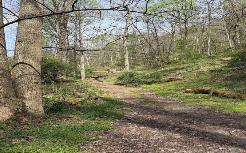 94, 95, 96 Crystal Lake, West Union, West Virginia 26456, ,Lots/land,For Sale,Crystal,10164478