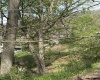 94, 95, 96 Crystal Lake, West Union, West Virginia 26456, ,Lots/land,For Sale,Crystal,10164478