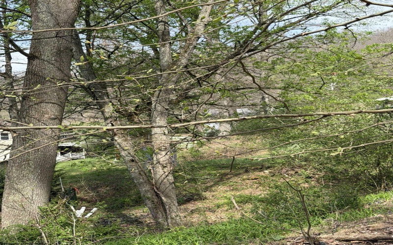 94, 95, 96 Crystal Lake, West Union, West Virginia 26456, ,Lots/land,For Sale,Crystal,10164478