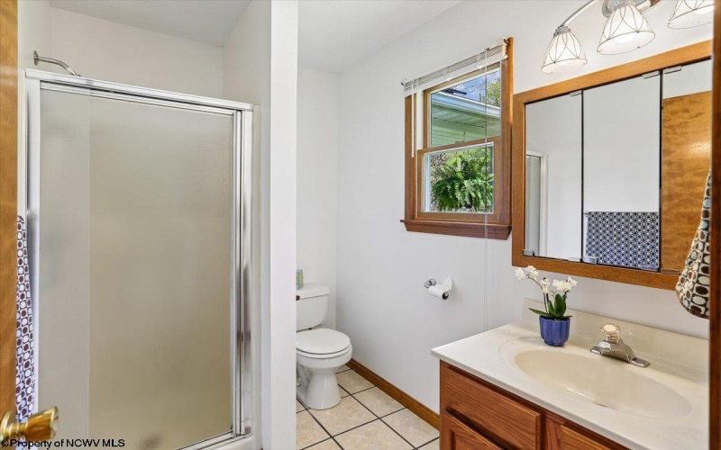 107 Number 41 Mine Road, Thomas, West Virginia 26292, 4 Bedrooms Bedrooms, 10 Rooms Rooms,3 BathroomsBathrooms,Single Family Detached,For Sale,Number 41 Mine,10164490