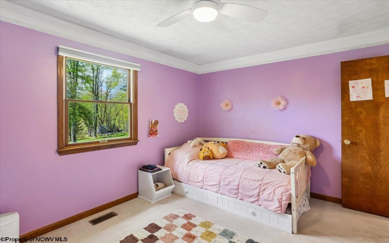 107 Number 41 Mine Road, Thomas, West Virginia 26292, 4 Bedrooms Bedrooms, 10 Rooms Rooms,3 BathroomsBathrooms,Single Family Detached,For Sale,Number 41 Mine,10164490