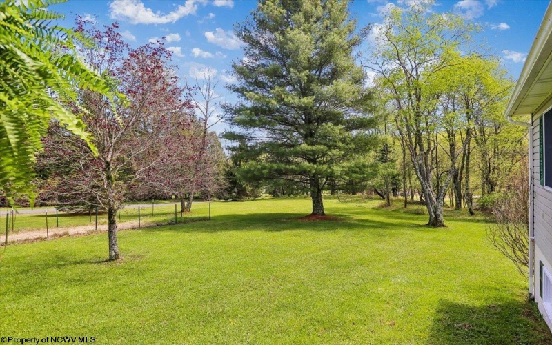 107 Number 41 Mine Road, Thomas, West Virginia 26292, 4 Bedrooms Bedrooms, 10 Rooms Rooms,3 BathroomsBathrooms,Single Family Detached,For Sale,Number 41 Mine,10164490