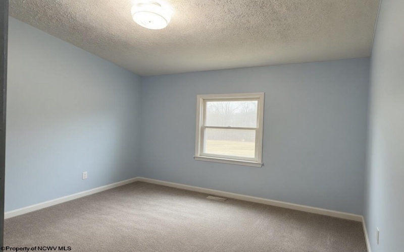 462 Spring Hills Road, Grafton, West Virginia 26354, 3 Bedrooms Bedrooms, 5 Rooms Rooms,2 BathroomsBathrooms,Single Family Detached,For Sale,Spring Hills,10164484