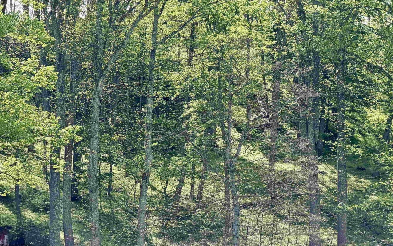 Lot 99 Crystal Lake, West Union, West Virginia 26456, ,Lots/land,For Sale,Crystal,10164497