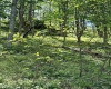 Lot 99 Crystal Lake, West Union, West Virginia 26456, ,Lots/land,For Sale,Crystal,10164497