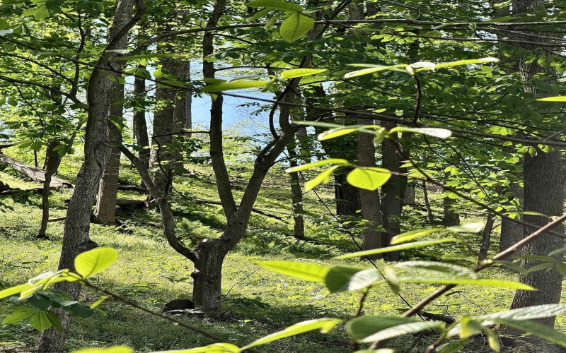 Lot 99 Crystal Lake, West Union, West Virginia 26456, ,Lots/land,For Sale,Crystal,10164497