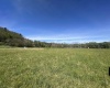 TBD RT 72 Cheat Valley Highway, Parsons, West Virginia 26287, ,Lots/land,For Sale,Cheat Valley,10164498