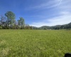 TBD RT 72 Cheat Valley Highway, Parsons, West Virginia 26287, ,Lots/land,For Sale,Cheat Valley,10164498