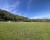 TBD RT 72 Cheat Valley Highway, Parsons, West Virginia 26287, ,Lots/land,For Sale,Cheat Valley,10164498