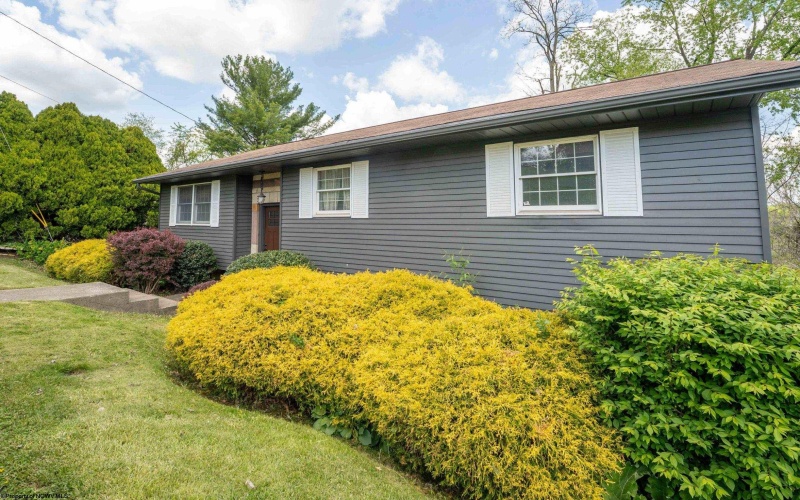 813 Cottonwood Street, Morgantown, West Virginia 26505, 3 Bedrooms Bedrooms, 6 Rooms Rooms,3 BathroomsBathrooms,Single Family Detached,For Sale,Cottonwood,10164500