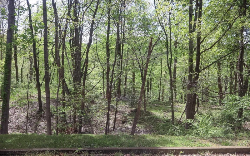 12 Oak Ridge Drive, Morgantown, West Virginia 26508, 3 Bedrooms Bedrooms, 5 Rooms Rooms,3 BathroomsBathrooms,Single Family Attached,For Sale,Oak Ridge,10164523
