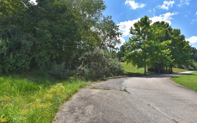 Lot 48 Birch Street, Grafton, West Virginia 26354, ,Lots/land,For Sale,Birch,10164516