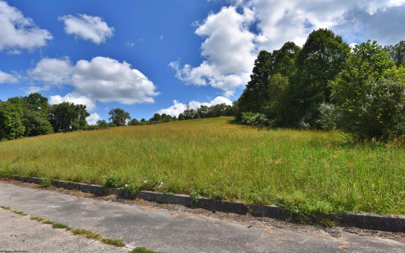 Lot 48 Birch Street, Grafton, West Virginia 26354, ,Lots/land,For Sale,Birch,10164516
