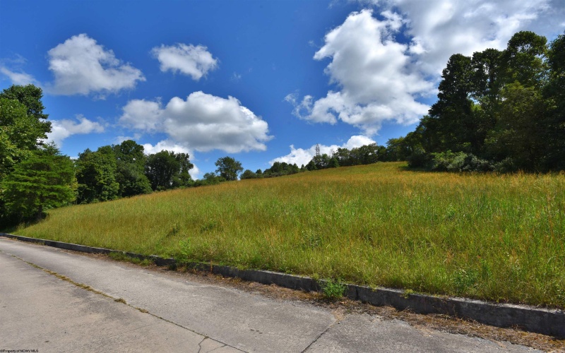 Lot 48 Birch Street, Grafton, West Virginia 26354, ,Lots/land,For Sale,Birch,10164516