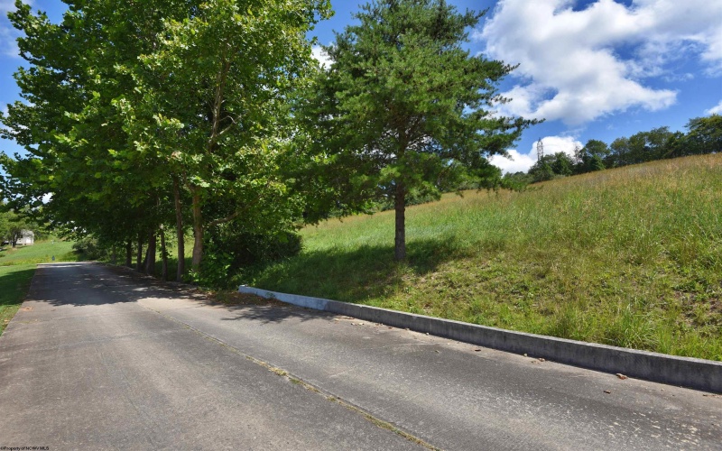 Lot 47 Birch Street, Grafton, West Virginia 26354, ,Lots/land,For Sale,Birch,10164515