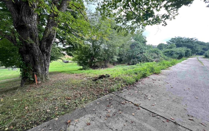 Lot 47 Birch Street, Grafton, West Virginia 26354, ,Lots/land,For Sale,Birch,10164515