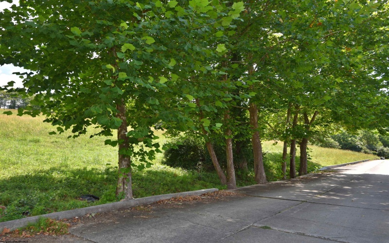 Lot 47 Birch Street, Grafton, West Virginia 26354, ,Lots/land,For Sale,Birch,10164515
