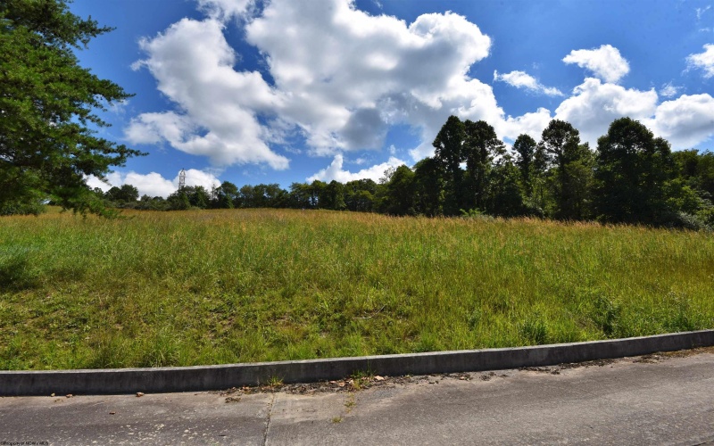 Lot 47 Birch Street, Grafton, West Virginia 26354, ,Lots/land,For Sale,Birch,10164515