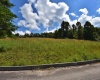 Lot 49 Birch Street, Grafton, West Virginia 26354, ,Lots/land,For Sale,Birch,10164518