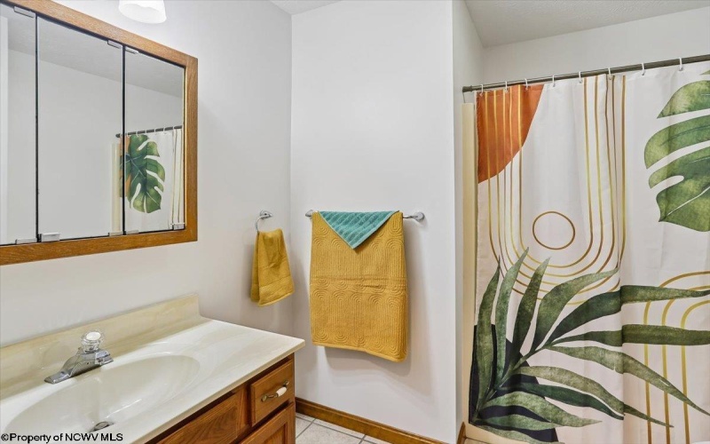 107 Number 41 Mine Road, Thomas, West Virginia 26292, 4 Bedrooms Bedrooms, 10 Rooms Rooms,3 BathroomsBathrooms,Single Family Detached,For Sale,Number 41 Mine,10164490