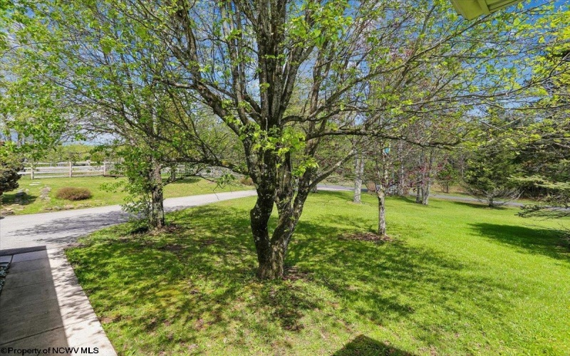 107 Number 41 Mine Road, Thomas, West Virginia 26292, 4 Bedrooms Bedrooms, 10 Rooms Rooms,3 BathroomsBathrooms,Single Family Detached,For Sale,Number 41 Mine,10164490