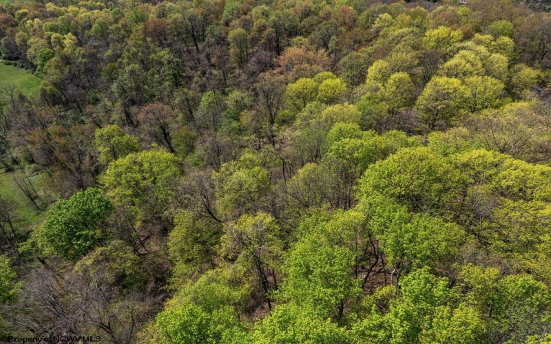 Lot 3 Lynch Road, Morgantown, West Virginia 26501, ,Lots/land,For Sale,Lynch,10159690